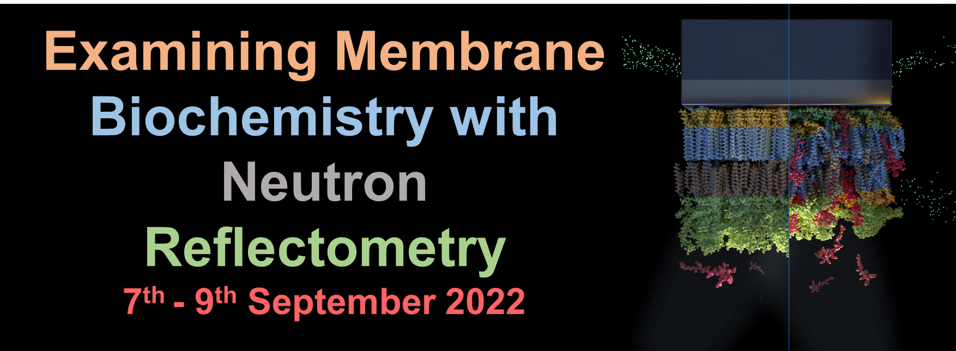 Examining Membrane Biochemistry with Neutron Reflectometry